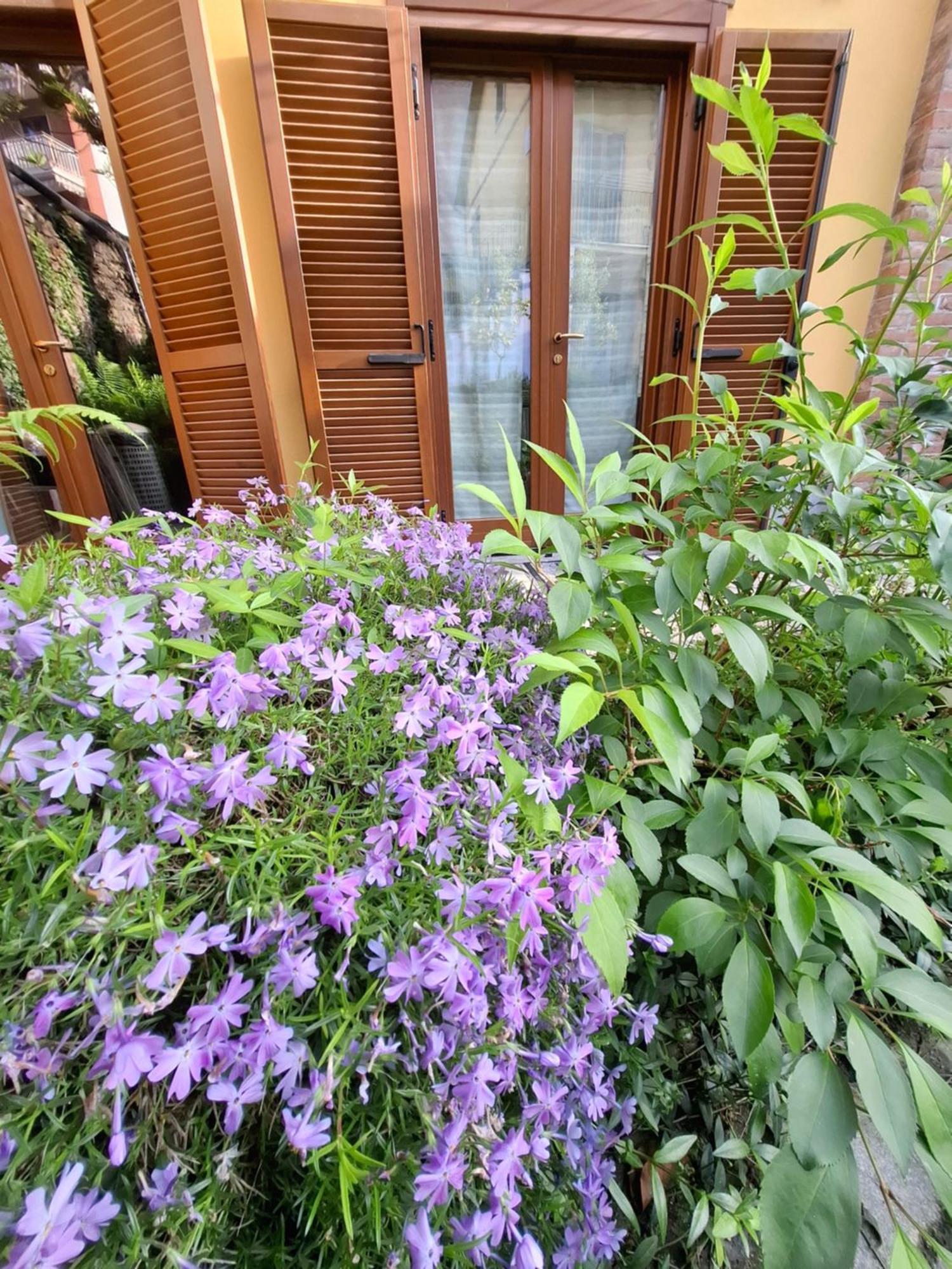 Casa Lavanda Rivoli  Exterior photo